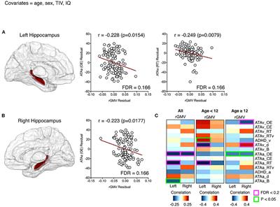 The Association Between Hippocampal Volume and Level of Attention in Children and Adolescents